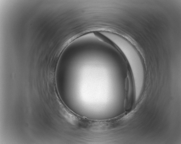 X0000081490993200701191854