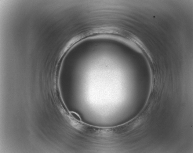 X0000081490994200701191853