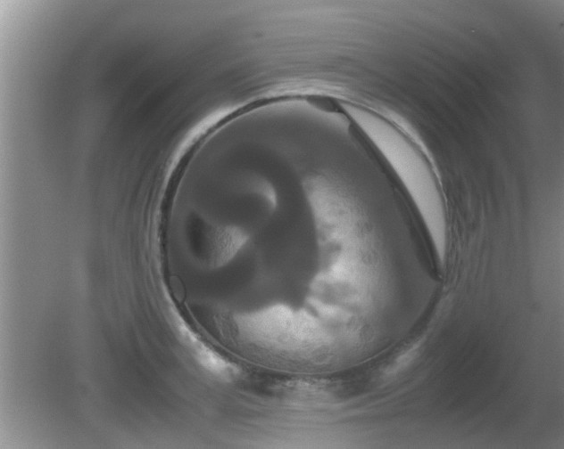 X0000081490995200701191853