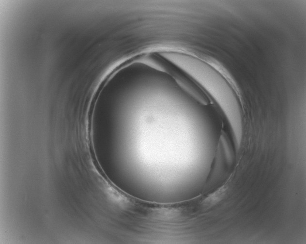 X0000081490996200701191853