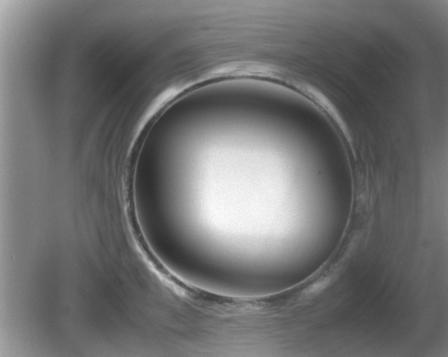 X0000081490997200701191853