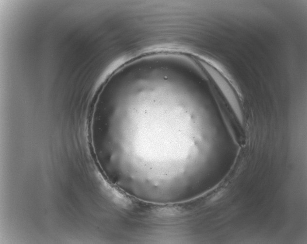 X0000081490998200701191853