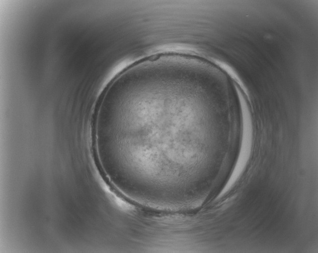 X0000081490999200701191853