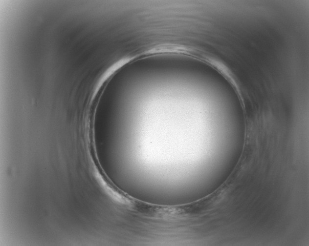 X0000081491003200701191853