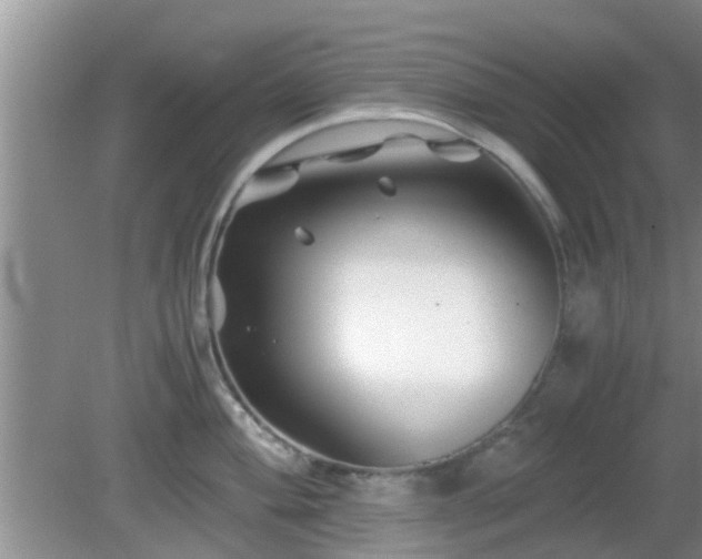 X0000081491004200701191853