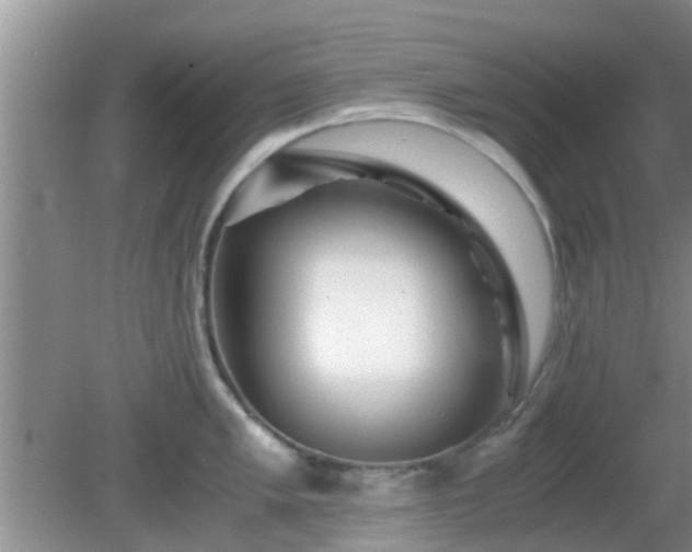 X0000081491005200701191853