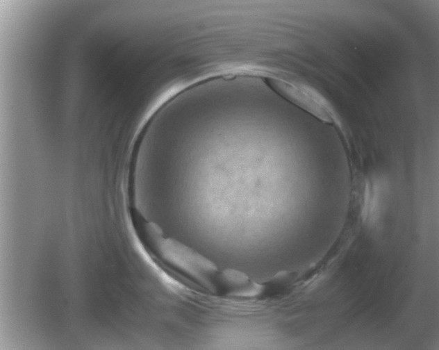 X0000081491007200701191853