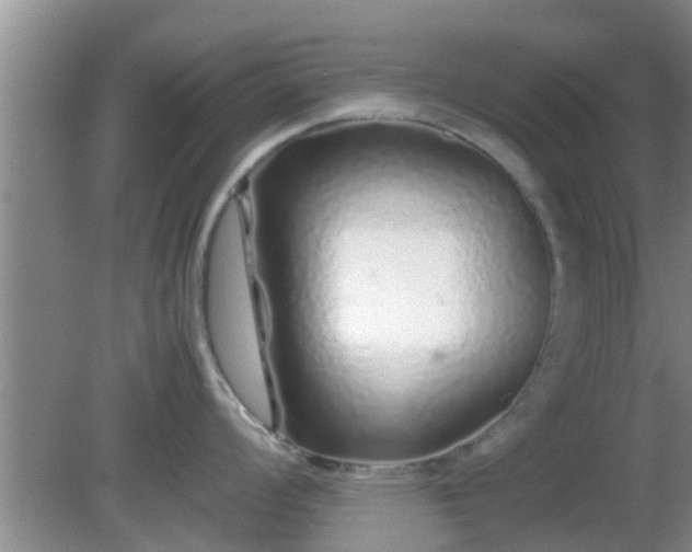 X0000081491008200701191853