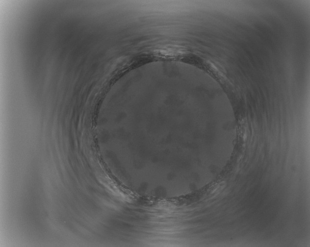 X0000081491009200701191852