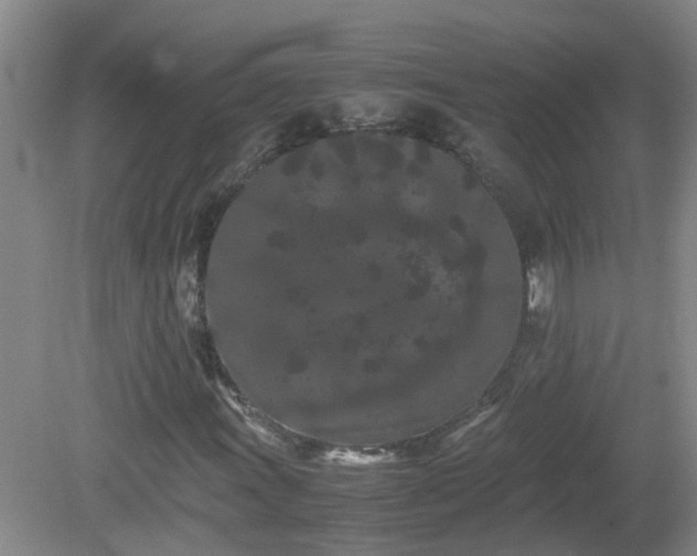 X0000081491011200701191852