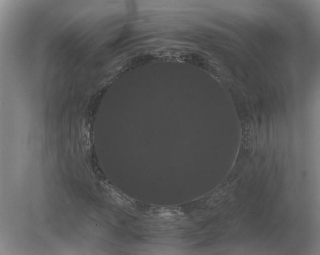 X0000081491013200701191853