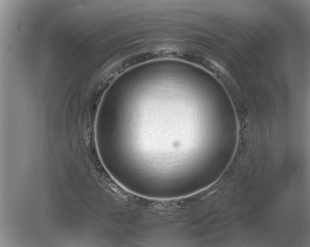 X0000081491015200701191853