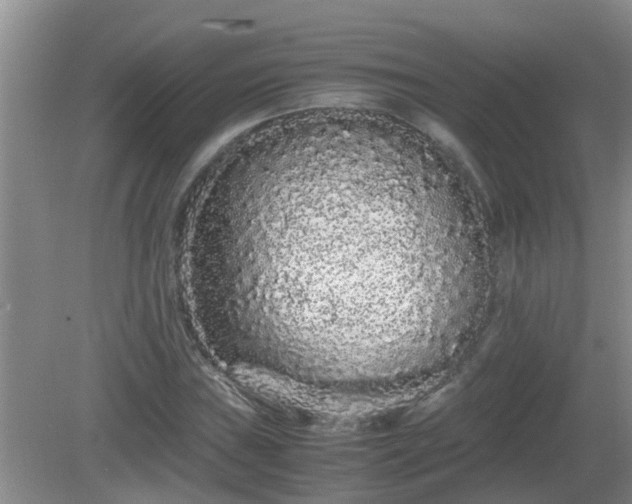 X0000081491019200701191853