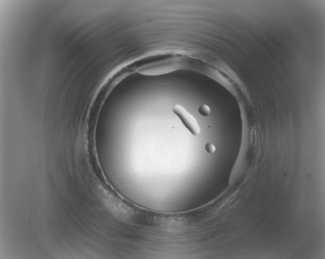 X0000081491020200701191853