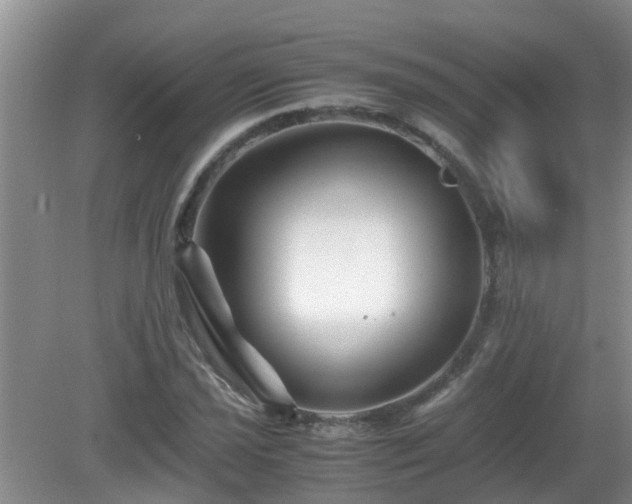 X0000081491021200701191853