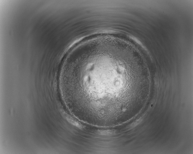 X0000081491025200701191853