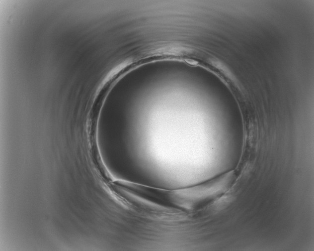 X0000081491026200701191853