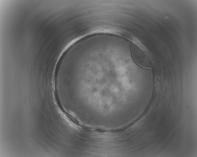 X0000081491028200701191853