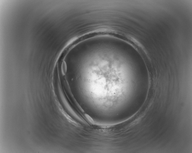 X0000081491029200701191853