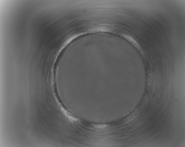 X0000081491031200701191853