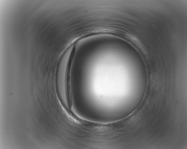 X0000081491033200701191853