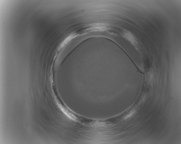 X0000081491034200701191853