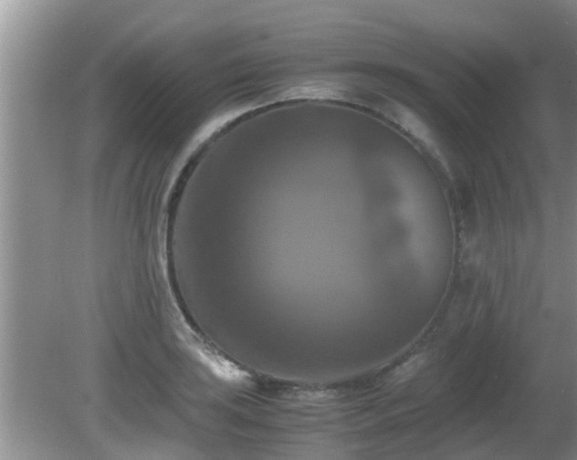 X0000081491035200701191853