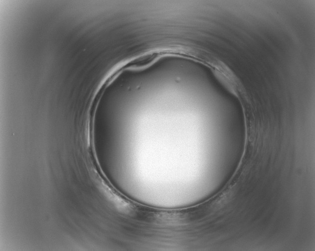 X0000081491036200701191853