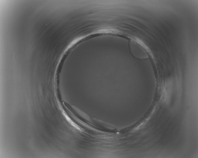 X0000081491037200701191853