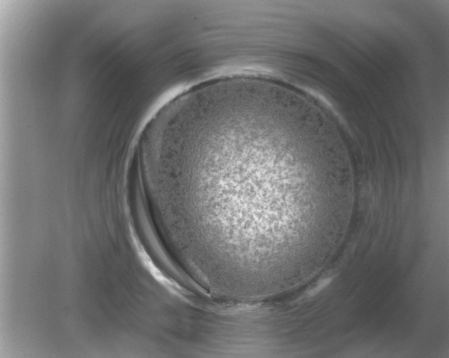 X0000081491038200701191853