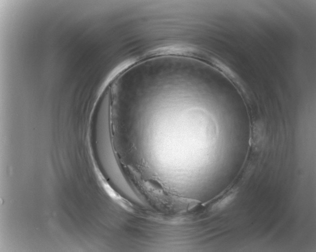 X0000081491042200701191853