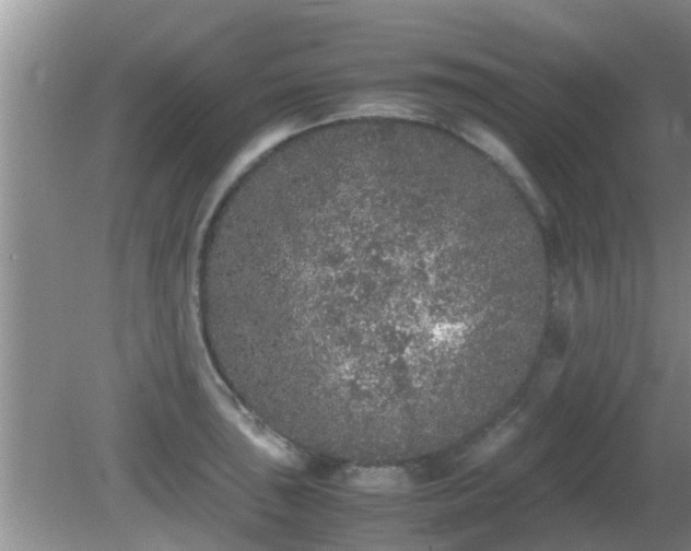 X0000081491043200701191853