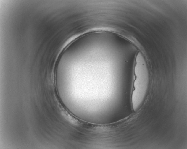 X0000081491044200701191853