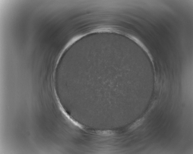 X0000081491045200701191853