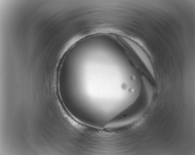 X0000081491046200701191853