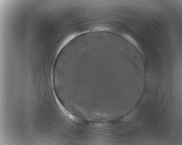 X0000081491047200701191853