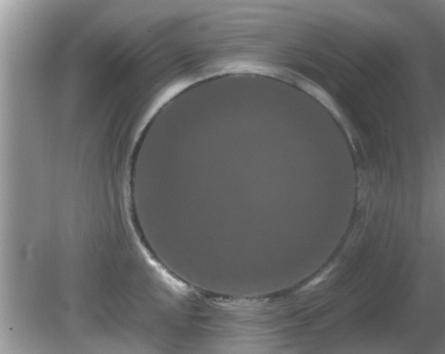 X0000081491048200701191853