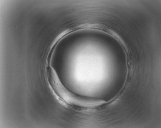 X0000081491050200701191853