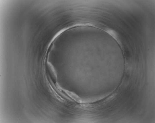 X0000081491052200701191853