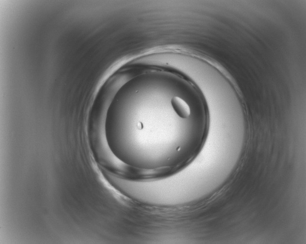 X0000081491054200701191853