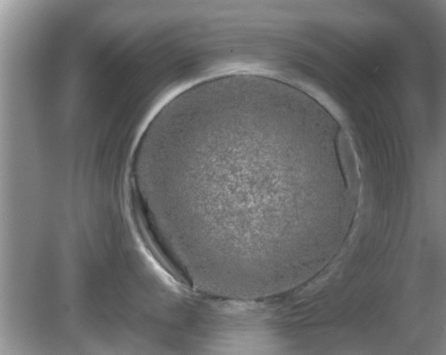 X0000081491056200701191853