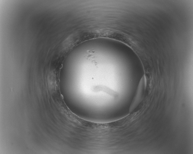 X0000081491058200701191852