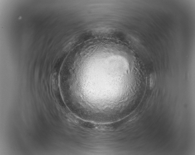 X0000081491059200701191852