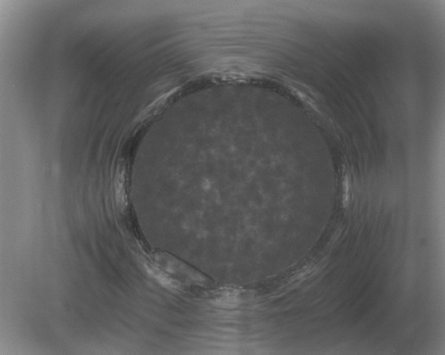 X0000081491060200701191852