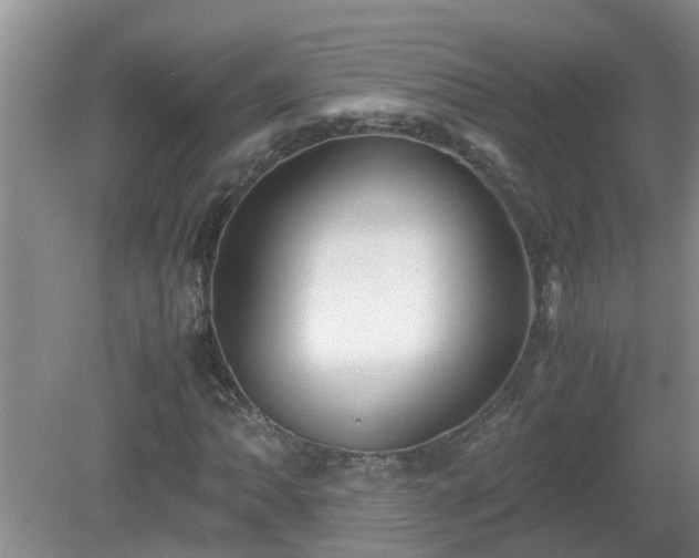 X0000081491062200701191852