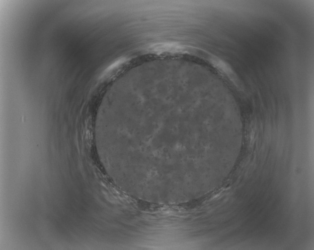 X0000081491063200701191852