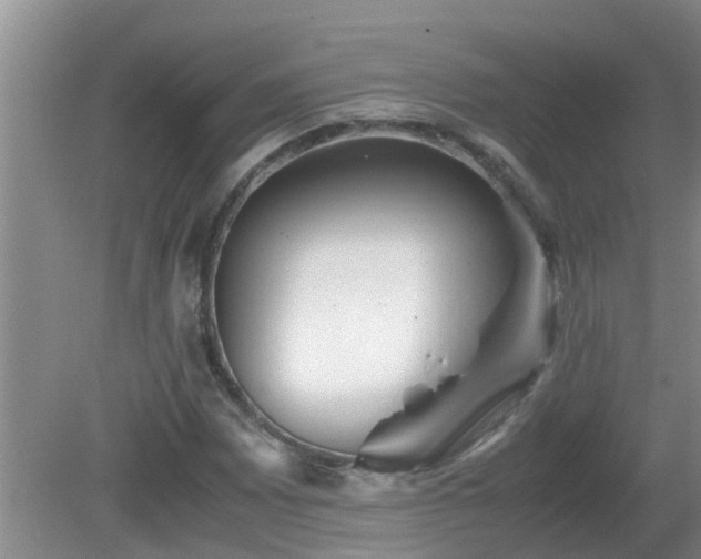 X0000081491065200701191852