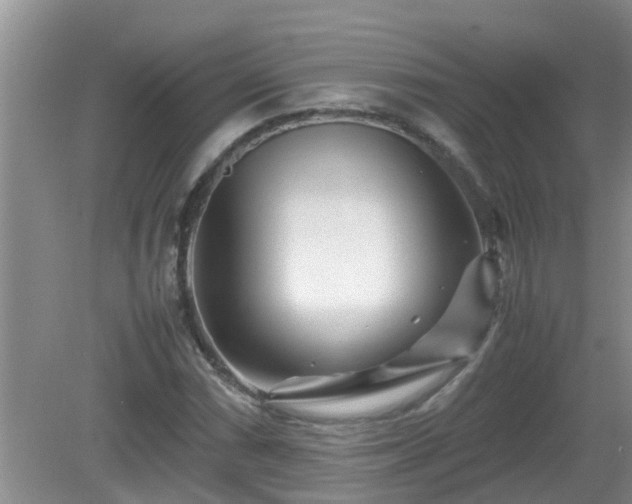 X0000081491066200701191852