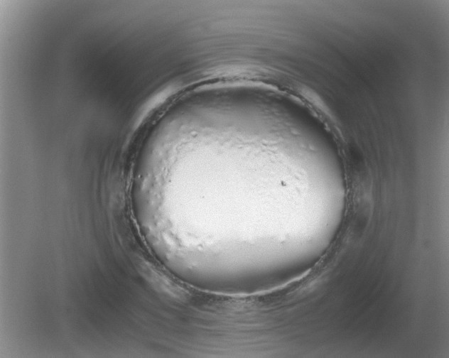 X0000081491067200701191852