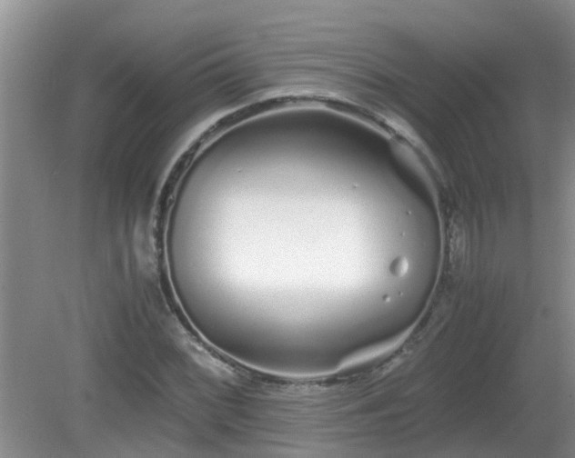 X0000081491068200701191852